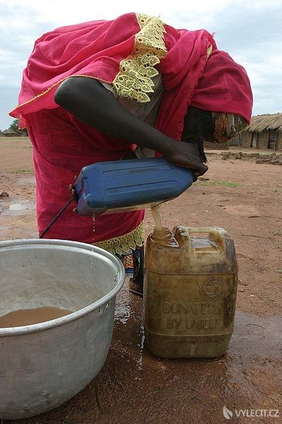 V rozvojových zemích je virové onemocnění žaludku způsobeno nedostatkem pitné vody, autor: hdptcar