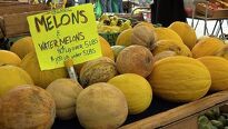 Meloun – dopřejte si vodní, žlutý cukrový nebo kantalup