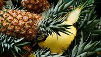 Meloun, mango a ananas – ovocem k věčné kráse