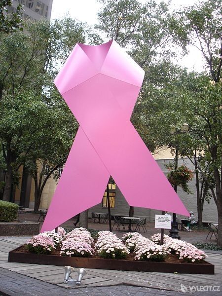 Symbol boje proti rakovině prsu, autor: Jason Meredith