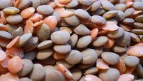 Čočka a fazole – dopřejte si prospěšné bílkoviny