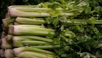 Celer je zdravý, a nejen ten řapíkatý