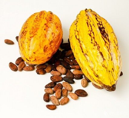 Kakaový plod s boby, autor: EverJean