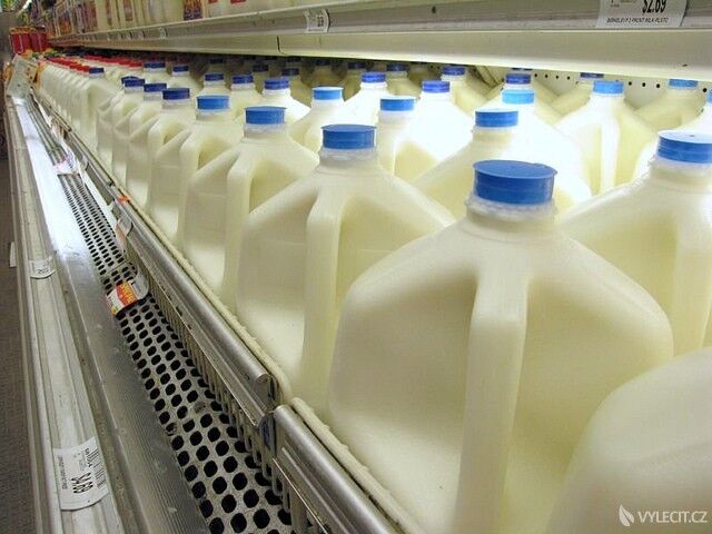 Pijete opravdu mléko?, autor: wwwbluewaikikicom