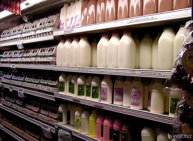 Mléčné výrobky – ano či ne?, autor: Muffet