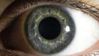 Deset tipů pro zdravé oči