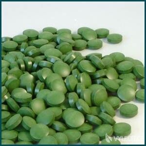 Chlorella