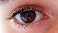 Suché a pálivé oči - alergie nebo syndrom?