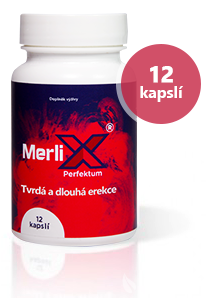 MerliX Perfektum