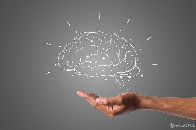 Jak přimět mozek, aby lépe pracoval?