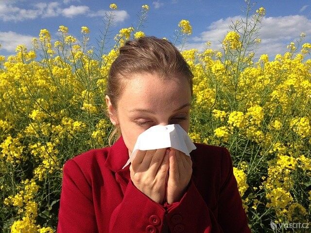 Alergie může velmi potrápit
